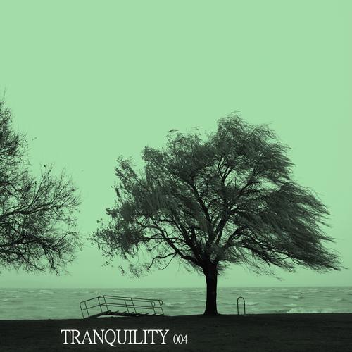 image cover: VA - Tranquility 004 [INVISIBLE024]