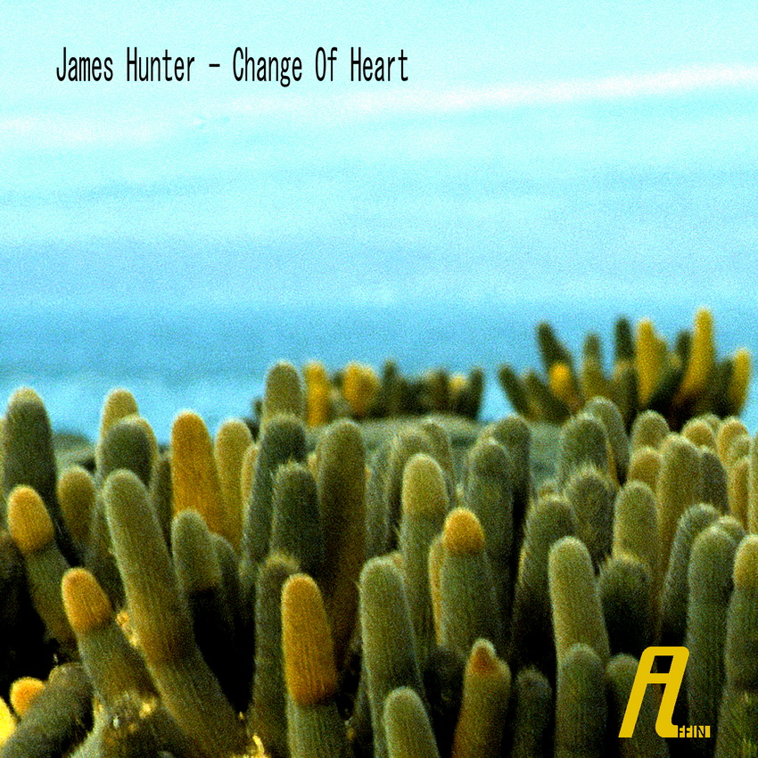 image cover: James Hunter - Change Of Heart [AFFIN107]