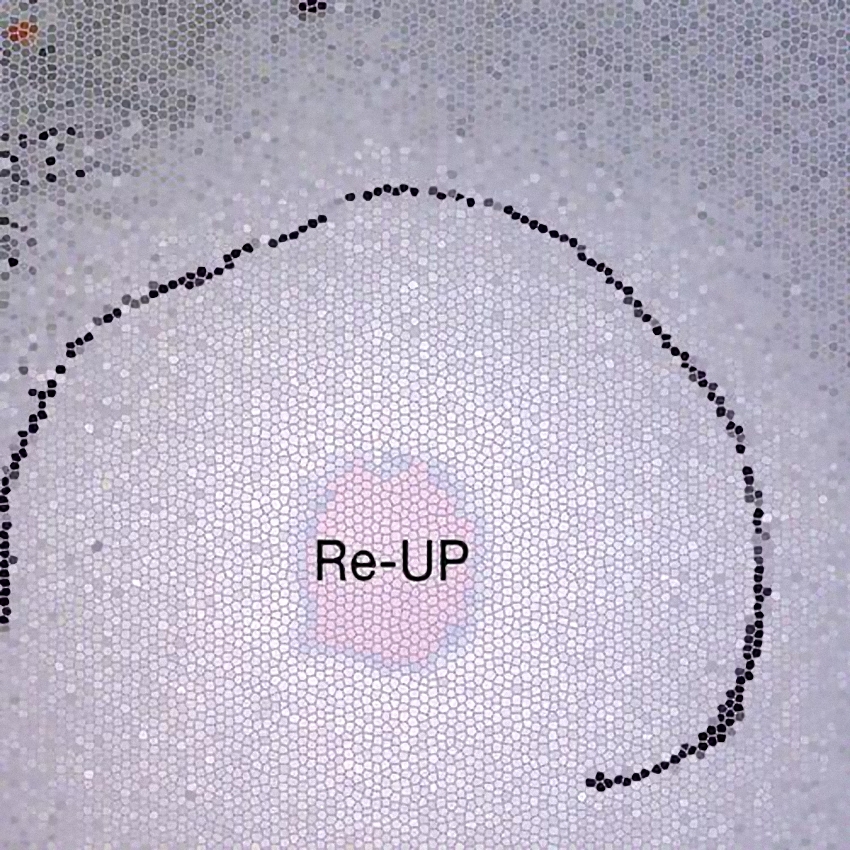 image cover: Re-UP - Back In A Day EP (SAFNUM016)