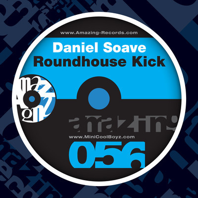 image cover: Daniel Soave - Roundhouse Kick [AMZ056]