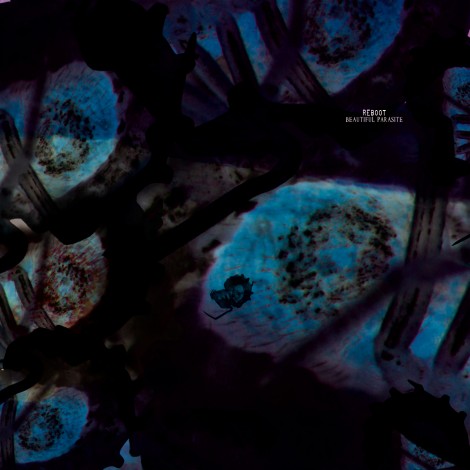 Reboot – Beautiful Parasite [CADENZA76]