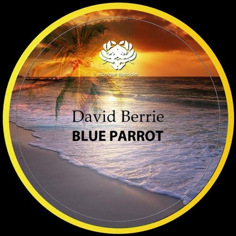 David Berrie – Blue Parrot (MS066)