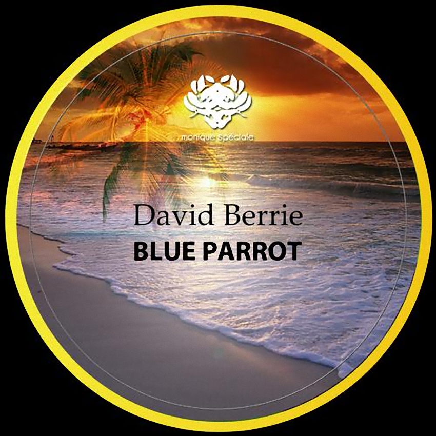 image cover: David Berrie - Blue Parrot (MS066)