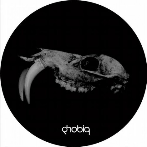 Mikael Jonasson – Evolution (PHOBIQ013)