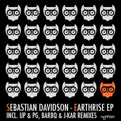 image cover: Sebastian Davidson - Earthrise Remix EP [NB029]