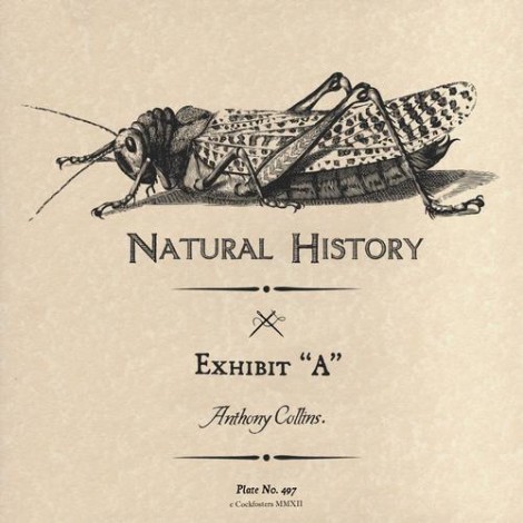 Anthony Collins – Exhibit “A” (NHEX001)