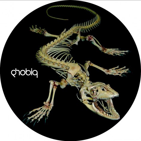 Mr. Bizz – Last Chance (PHOBIQ054D)