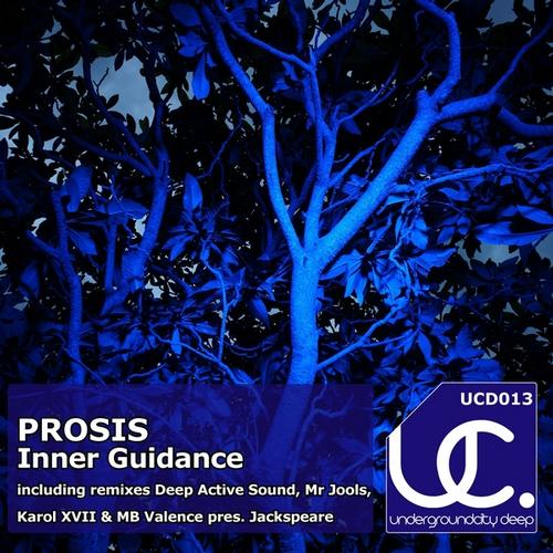 image cover: Prosis - Inner Guidance (UCD013)