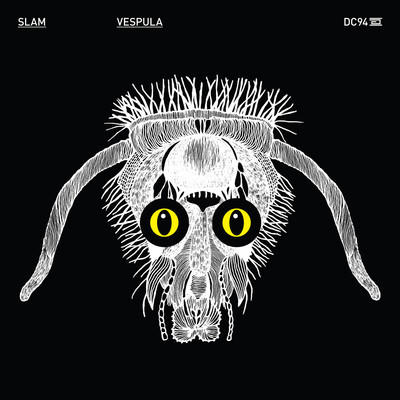image cover: Slam - Vespula [DC094]