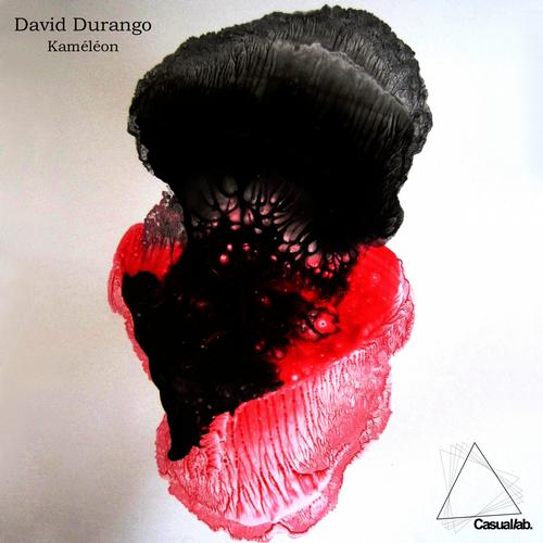 image cover: David Durango - Kameleon (CLDIG002)