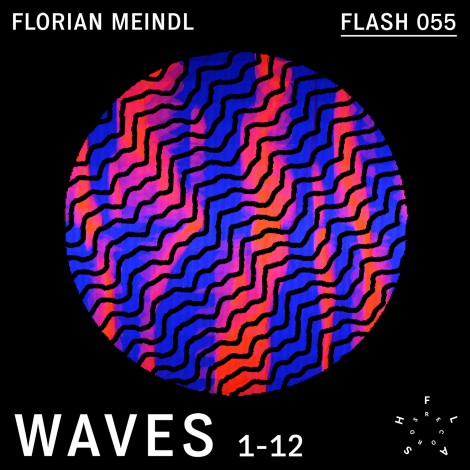 Florian Meindl – Waves (FLASH055)