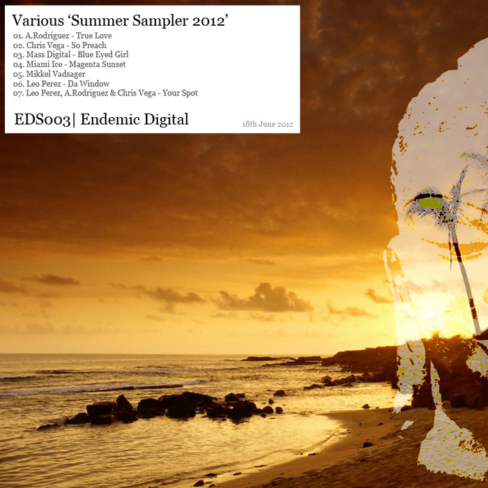 image cover: VA - Endemic Digital Summer Sampler 2012 (EDS003)