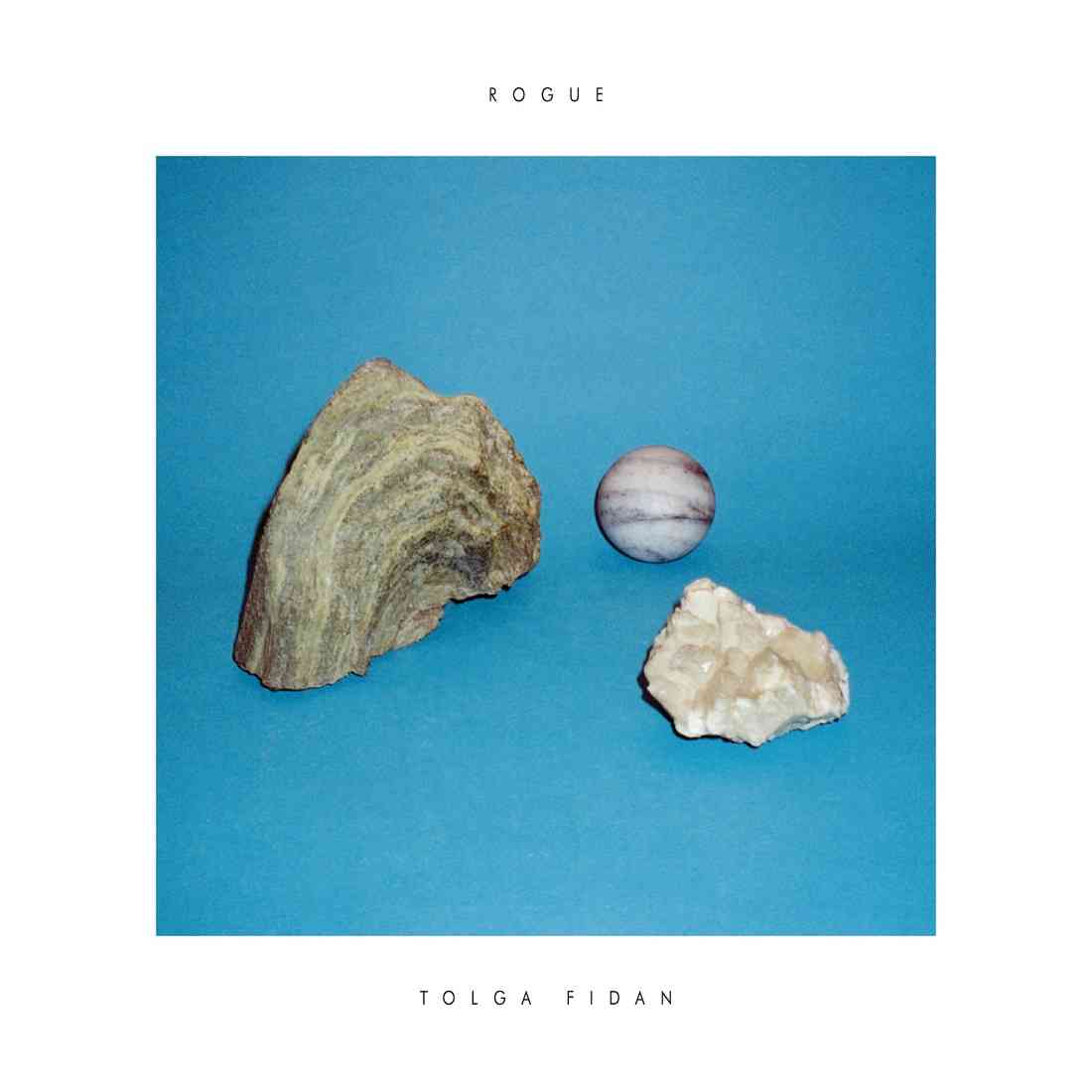 image cover: Tolga Fidan - Rogue [VA044]