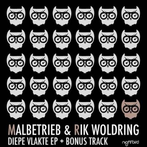 Malbetrieb, Rik Woldring – Diepe Vlakte EP [NB031]