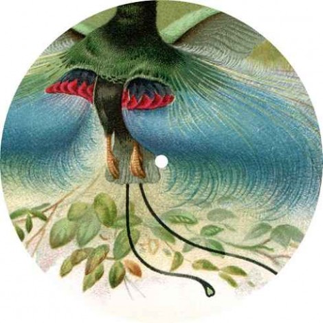 Alejandro Mosso – Mosso003 [MOSSO003]