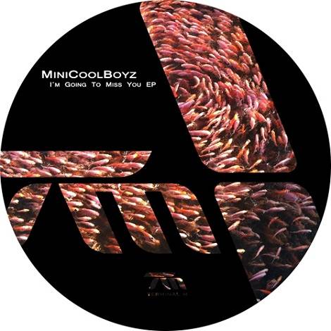 image cover: Minicoolboyz - I'm Going To Miss You EP [TERM090]