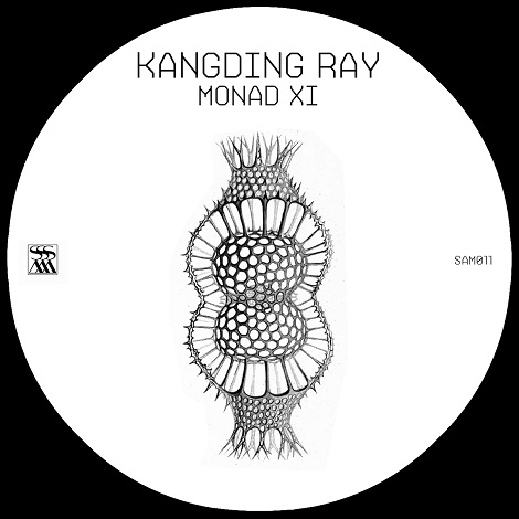 image cover: Kangding Ray - Monad XI [SAM011]