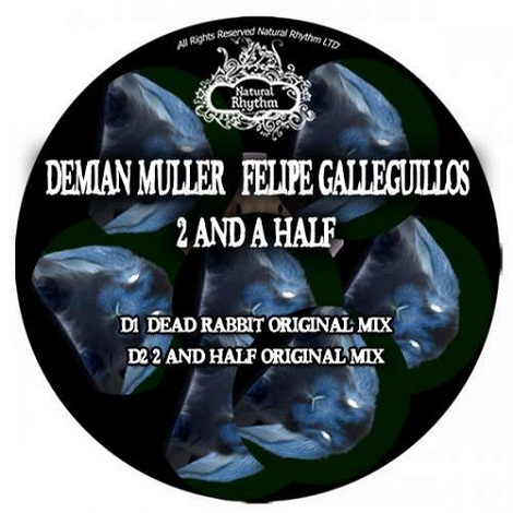image cover: Demian Muller & Felipe Galleguillos - 2 and a half [N52]