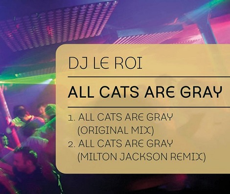 Dj Le Roi - All Cats Are Grey