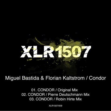 Miguel Bastida, Florian Kaltstrom - Condor