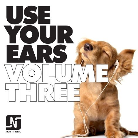 VA - Use Your Ears Vol. 3