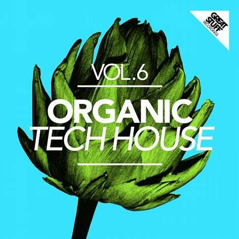 VA - Organic Tech-House Vol. 6