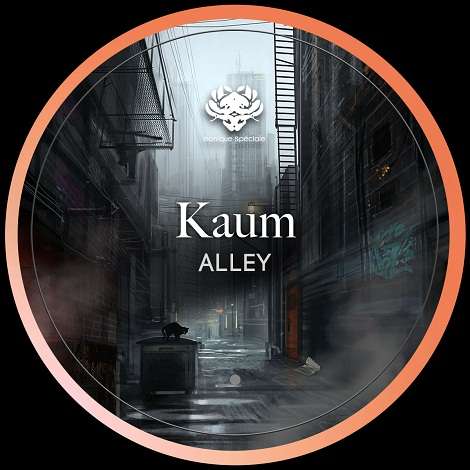 image cover: Kaum - Alley [MS076]