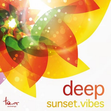 image cover: VA - Deep Sunset Vibes (TNRCOMP059)