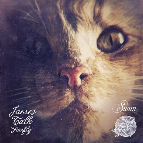 image cover: James Talk - Firefly [SUARAALBUM001]