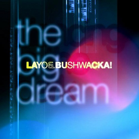 image cover: Layo Bushwacka - The Big Dream [OLMETO032]