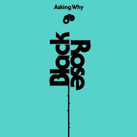 image cover: Black Rose - Asking Why (MTP054)