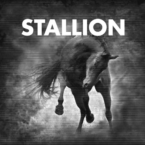 image cover: Stallion - Stallion 001