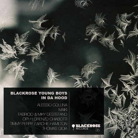 image cover: VA - Blackrose Young Boys In Da Hood (BKROSE035)