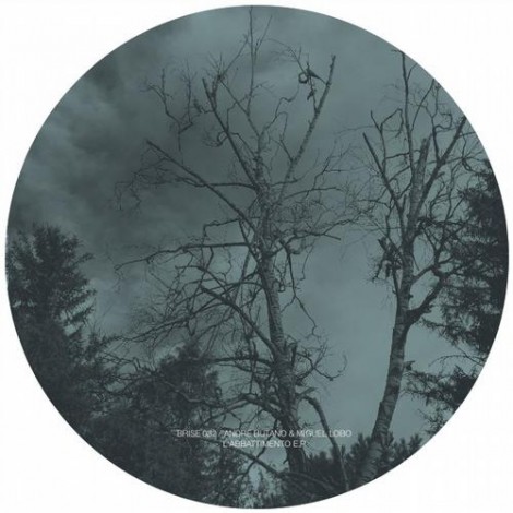 Andre Butano, Miguel Lobo – L’abbattimento E.P. [BRISE032]