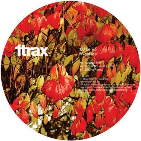 DJ Le Roi – Want Me [1TRAX069]