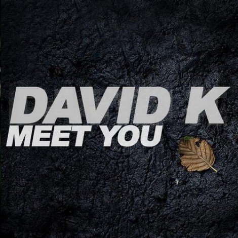 David K – Meet You (Remixes) [TB185]