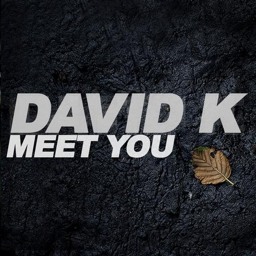 David K - Meet You (Remixes) [TB185]