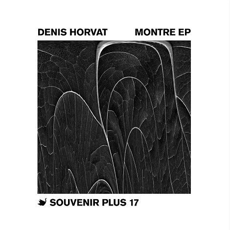 Denis Horvat - Montre