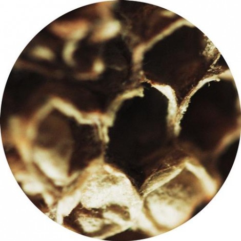 Gabriele Carasco – Out For The Afternoon EP [AMAMRLX002]