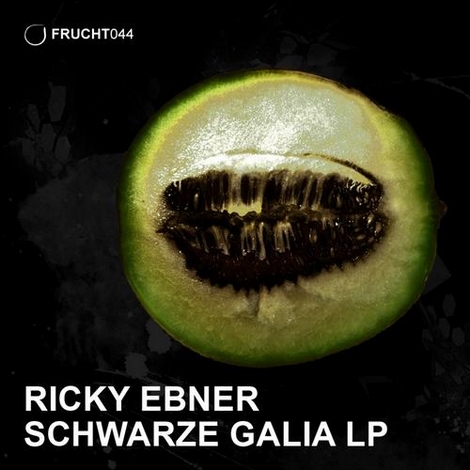 image cover: Ricky Ebner - Schwarze Galia LP (FRUCHT044)
