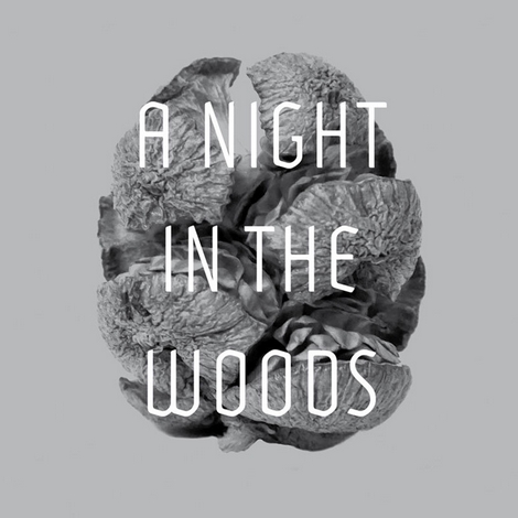 image cover: Tyler Friedman - A Night In The Woods (KM027)