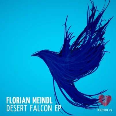 Florian Meindl - Desert Falcon Ep