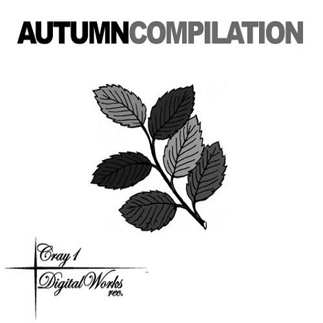 VA - Autumn Compilation C1DWLP004