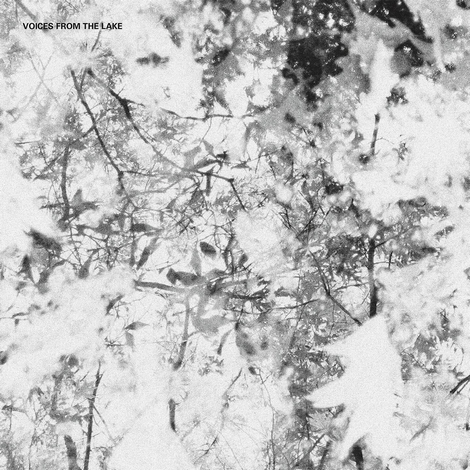 00-voices_from_the_lake_(donato_dozzy_and_neel)-voices_from_the_lake_prglp003-2012--electrobuzz