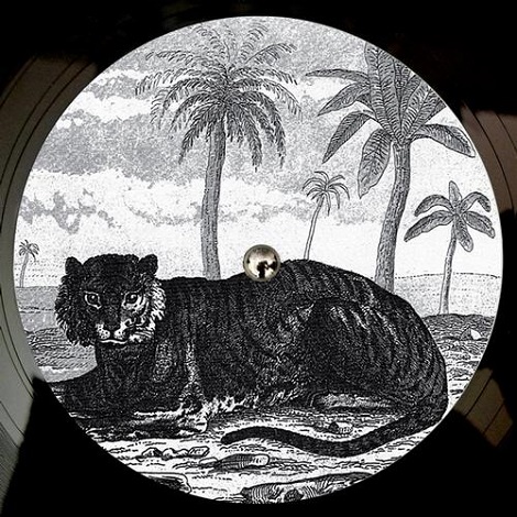 Tigerskin - Try The Impossible EP