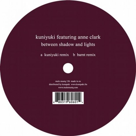 Anne Clark Kuniyuki - Between Shadow and Lights