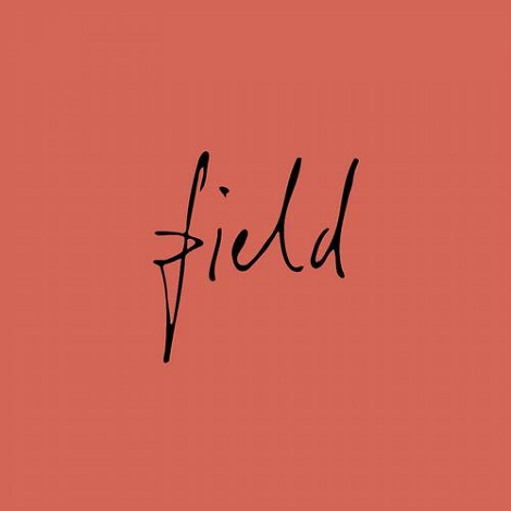 image cover: VA - Field 09 [FIELD009]