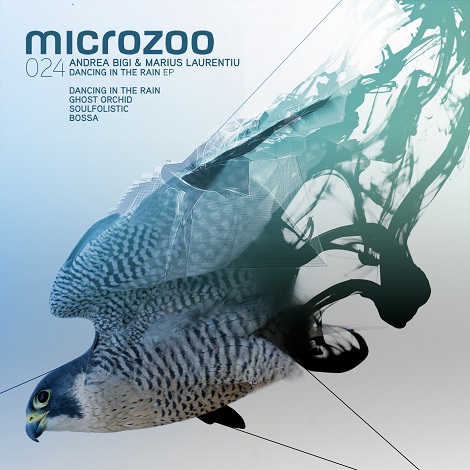 image cover: Marius Laurentiu Andrea Bigi - Dancing In The Rain EP [MICROZOO024]