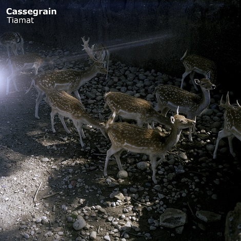 image cover: Cassegrain - Tiamat [PRG030]