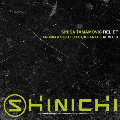 Sinisa Tamamovic - Relief